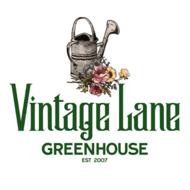 Watering can and flowers above words: Vintage Lane Greenhouse est. 2007