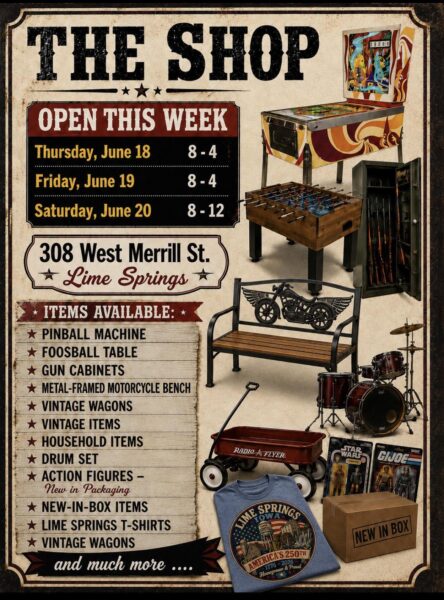 The Shop flyer for unique wares