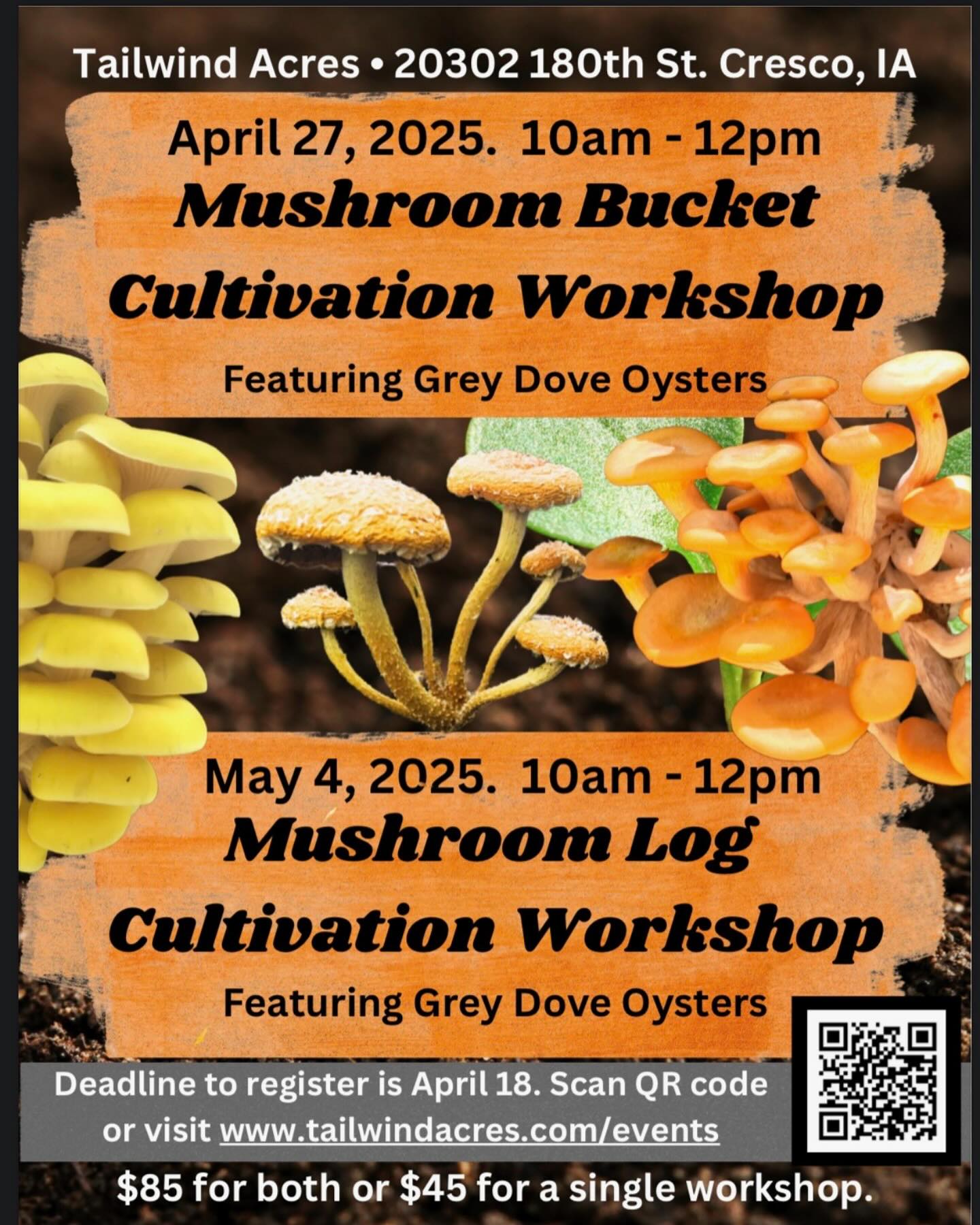 poster advertising Tailwind Acres Mushroom Workshop